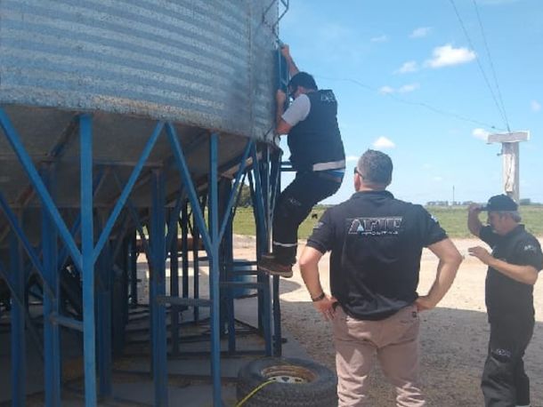 Olavarría: AFIP detectó el ocultamiento de 920 toneladas de maíz