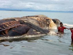 Este es el monstruo que apareció Este es el monstruo que apareció