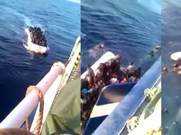 Pensaron que estaban a salvo