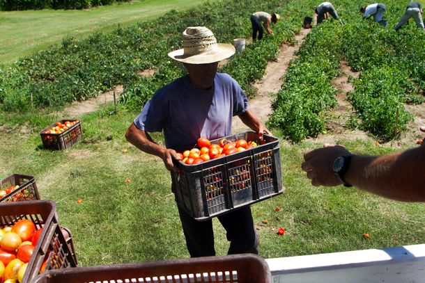 El Índice de Precios al Productor de ProductosNacionales tuvo una variación del 1