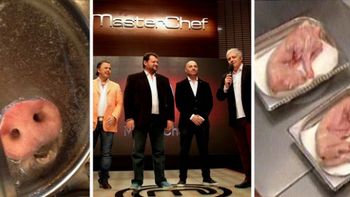 repudio de activistas veganos a masterchef por cocinar conejos bebes repudio de activistas veganos a masterchef por cocinar conejos bebes