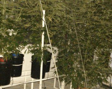 La pareja que iba a comprar al bebé encerró dos meses a la madre