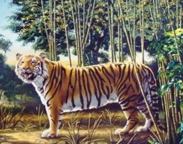 Desafío viral: encontrá al segundo tigre en esta ilusión óptica