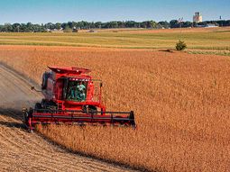 el campo insiste en que no va a resolver el problema del dolar el campo insiste en que no va a resolver el problema del dolar