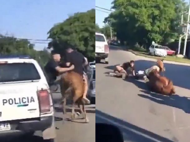 Insólita persecución en Quilmes: detuvieron a dos jóvenes que estaban robando a caballo