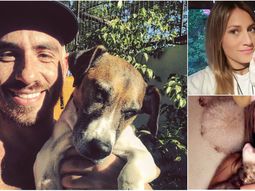 Los famosos y sus saludos por el Día del Animal