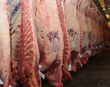 Argentina logró que Canadá vuelva a importar carne