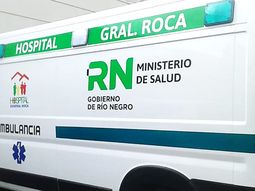 Tres perros salvaron de morir congelado a un joven rionegrino