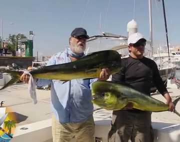 Un pescador exhibía su trofeo y un lobo marino se lo robó
