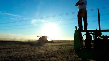 el precio de la soja puede alcanzar niveles nunca vistos el precio de la soja puede alcanzar niveles nunca vistos