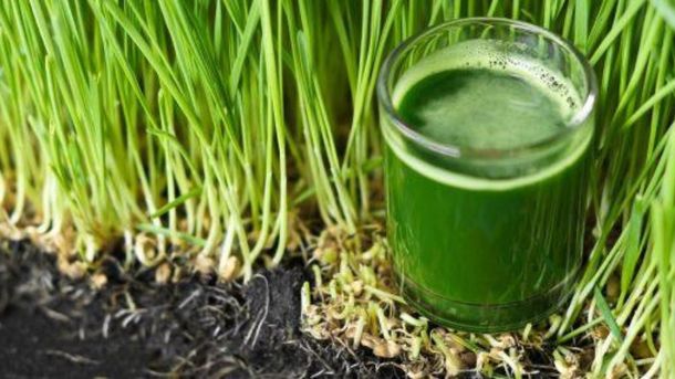 La grama se destaca por prevenir diversas enfermedades. La grama se destaca por prevenir diversas enfermedades.