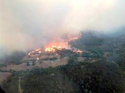 Los incendios forestales arrasan en Australia y ya hay miles de evacuados