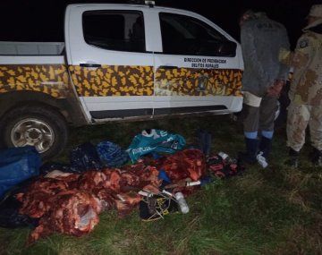 Escándalo en Entre Ríos: acusan funcionaria departamental por robar y faenar vacas