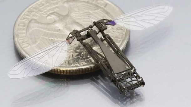 Un pequeño robot inspirado en las abejas para posarse en cualquier lugar