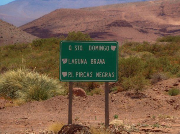Científicos del CONICET encontraron los restos de uno de los dinosaurios más antiguos del mundo