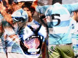 Los-pumas-ms