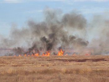 Incendios en el Delta del Paraná: ya son seis los detenidos