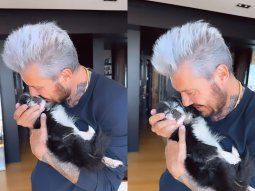 La conmovedora despedida de Marcelo Tinelli a su mascota