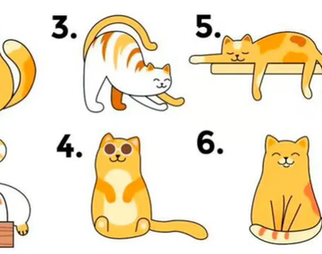 Este test viral es la herramienta perfecta para descubrir detalles sobre tu personalidad.&nbsp;