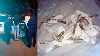 detuvieron a dos travestis que vendian droga y la trataron de esconder tras un arbol detuvieron a dos travestis que vendian droga y la trataron de esconder tras un arbol