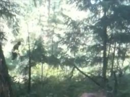 Bigfoot
