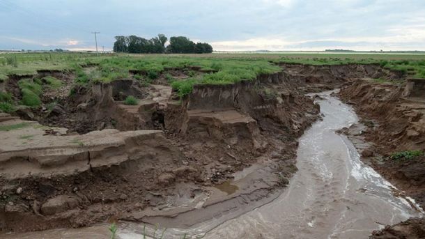 Gentileza: Lavoz.com.ar