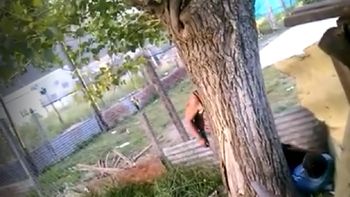 Los vecinos denuncian que el nene pasa horas atado a un árbol Los vecinos denuncian que el nene pasa horas atado a un árbol