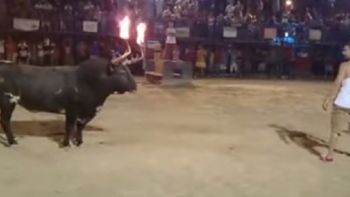 la venganza del toro
