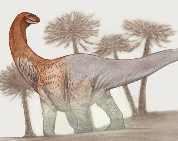 Río Negro: descubrieron un dinosaurio de 90 millones de años de antigüedad