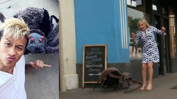 Ideal para Halloween: una araña mecánica casi mata del susto a los distraídos