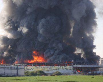 Guerra en Israel: más de 1.000 muertos en Israel y 830 en Gaza 