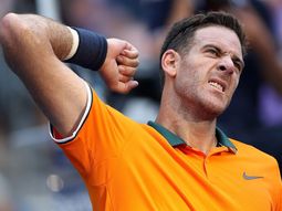 Del Potro le ganó a Verdasco pero estalló contra un espectador desubicado