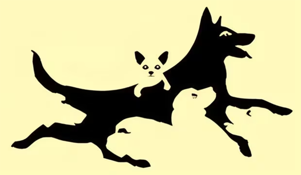 Test viral revela aspectos de tu mente según la cantidad de perros que veas en la imagen