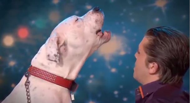 Una perra canta un clásico de Whitney Houston durante un programa de talentos