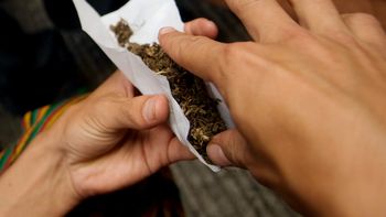 en uruguay venderan a un dolar el gramo de marihuana en uruguay venderan a un dolar el gramo de marihuana