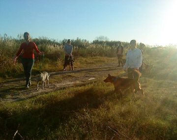 Quieren cerrar un refugio que alberga &nbsp;200 perros en Tres de Febrero&nbsp;