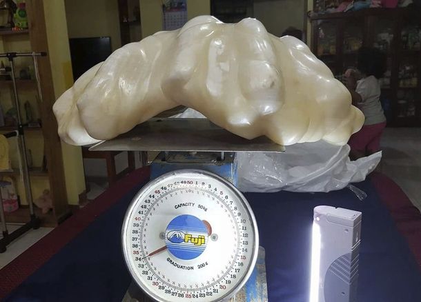 Un pescador halló la perla más grande del mundo y la guardó por 10 años