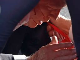 El expresidente Donald Trump fue herido en la oreja derecha durante un acto de campaña. El expresidente Donald Trump fue herido en la oreja derecha durante un acto de campaña.