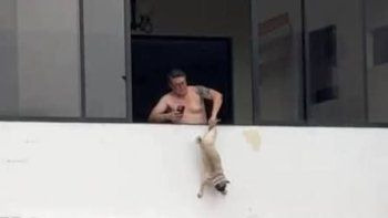 aberrante: filmaron a un hombre mientras colgaba a su perro del balcon de un quinto piso y termino detenido