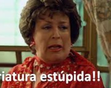 Los memes sí fueron visibles durante la tarde de este miércoles