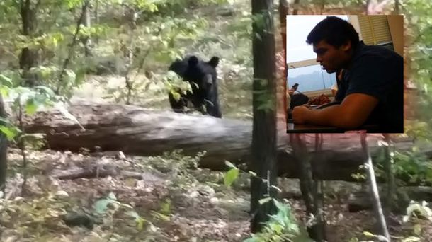 Le saca una foto al oso que después lo atacó y se lo comió vivo