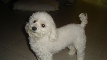 Convocatoria (DSC00081.JPG) Convocatoria (DSC00081.JPG)