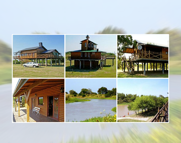 ¿Dónde descansa Del Potro tras la Copa Davis?