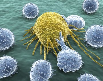 Descubren cómo evitar el desarrollo de la metástasis