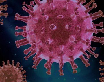 Coronavirus: un estudio advierte que la inmunidad podría durar meses o incluso años tras una primera infección