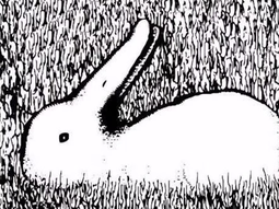 El test viral que define lo positivo de tu personalidad según el animal que veas