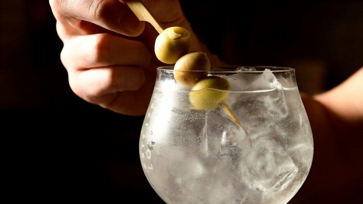 Gin Tonic 12 tragos increíbles para preparar en casa