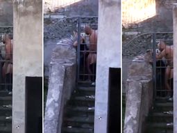 Tuvieron sexo delante de todos durante un desfile del orgullo gay Tuvieron sexo delante de todos durante un desfile del orgullo gay