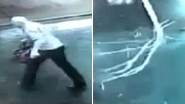 El hombre que se salvó de morir fulminado por un rayo