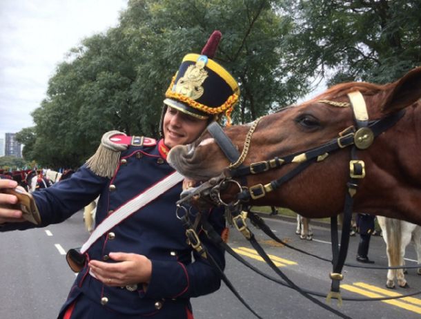 La historia detrás de la selfie del granadero y el caballo que causó furor